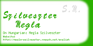 szilveszter megla business card